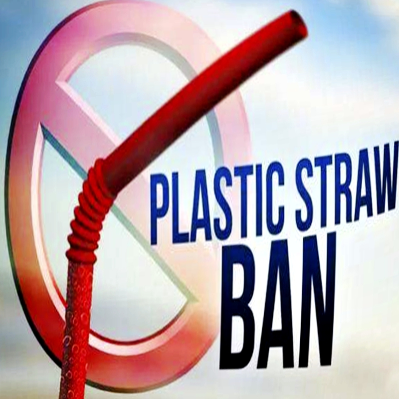 Was ist zu ersetzen, nachdem Plastikstroh verboten ist?